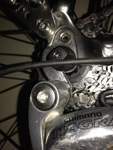 post-64210-0-64024800-1428776630_thumb.j