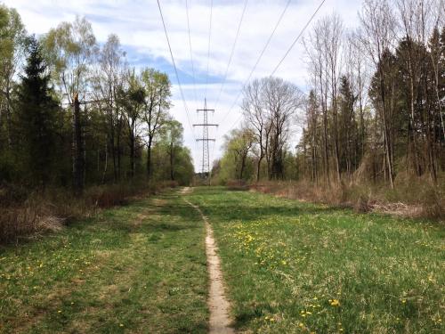 post-64210-0-73298700-1429985535_thumb.j