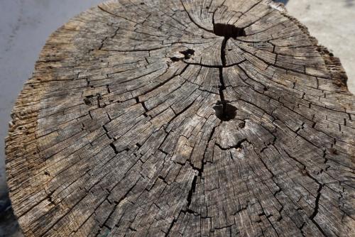 post-31542-0-05246700-1431419931_thumb.j