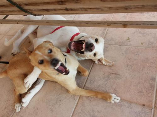 post-60900-0-08109500-1431458998_thumb.j