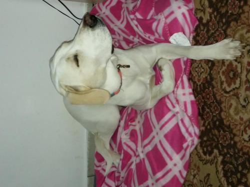 post-60900-0-32587300-1431458923_thumb.j