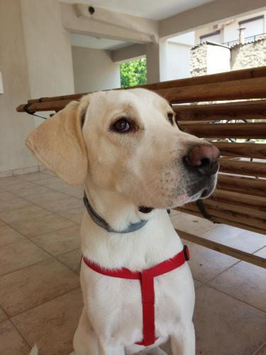 post-60900-0-39397900-1431459035_thumb.j