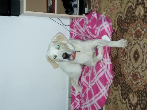 post-60900-0-41366900-1431458889_thumb.j