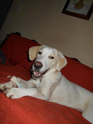 post-60900-0-48307200-1431458854_thumb.j