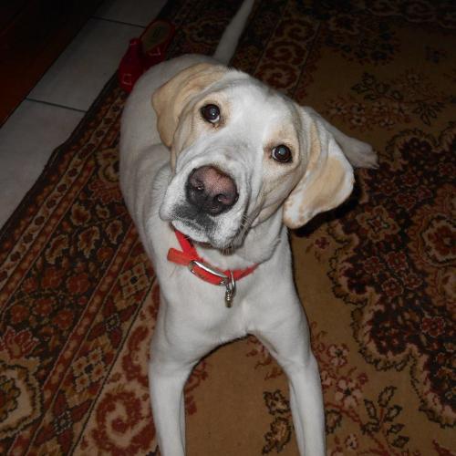 post-60900-0-67515300-1431458856_thumb.j