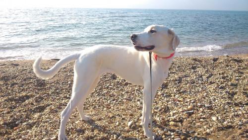 post-60900-0-67610300-1431459099_thumb.j