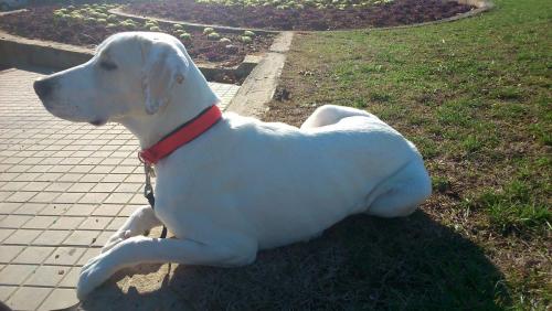 post-60900-0-68023000-1431459078_thumb.j