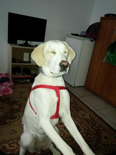 post-60900-0-84391700-1431458957_thumb.j