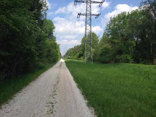 post-64210-0-94966100-1431853443_thumb.j