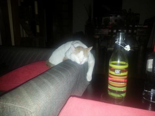 post-33144-0-70168600-1435703434_thumb.j