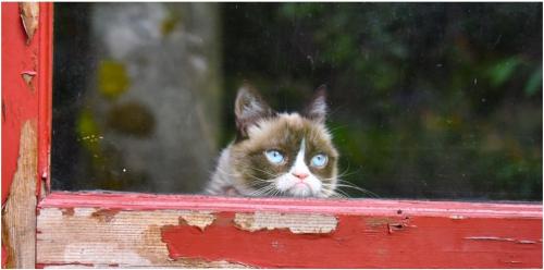 post-38861-0-52425400-1433137532_thumb.j