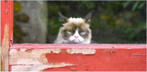 post-38861-0-87935700-1433139166_thumb.j