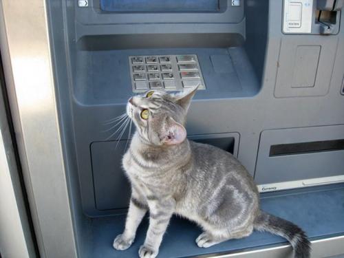 post-60900-0-19501400-1435388374_thumb.j