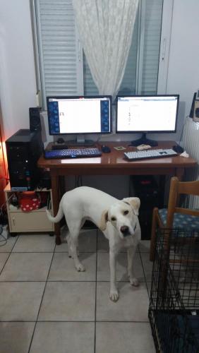 post-60900-0-23366400-1433713340_thumb.j