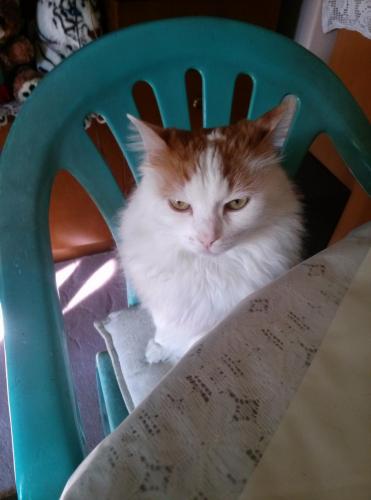 post-60900-0-28820000-1434026256_thumb.j