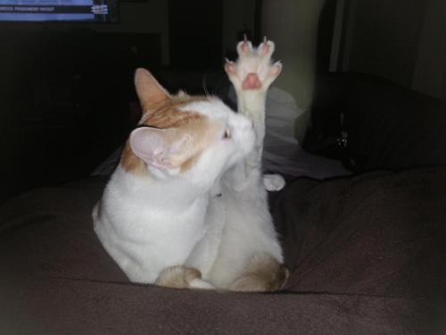 post-33144-0-53202800-1435793785_thumb.j