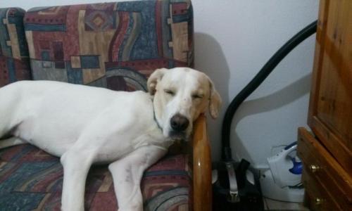 post-60900-0-20671000-1437937466_thumb.j