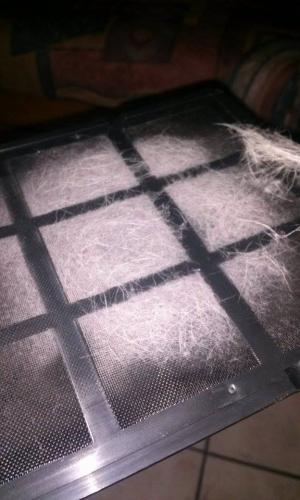 post-60900-0-26384900-1437063929_thumb.j