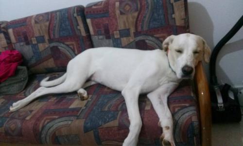 post-60900-0-27374900-1437374819_thumb.j