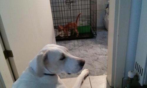 post-60900-0-93050200-1439473703_thumb.j