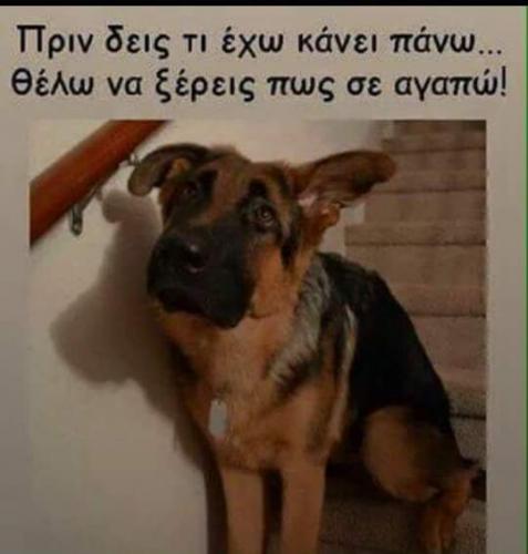 post-33144-0-12712000-1442149781_thumb.j