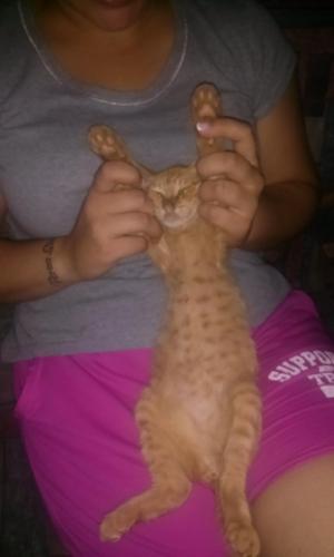 post-60900-0-89444300-1441521687_thumb.j