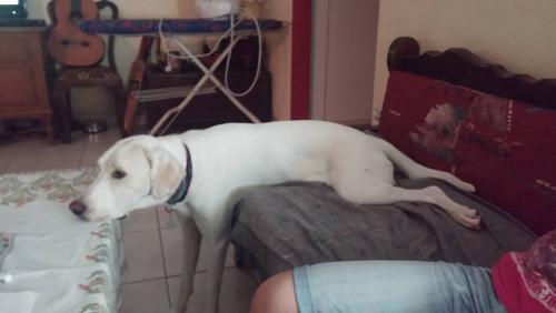 post-66286-0-38717000-1442083179_thumb.j