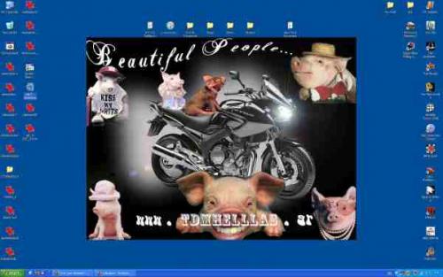 post-1003-1442174479,5101_thumb.jpg