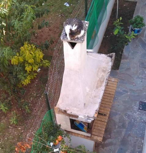 post-33281-0-16055500-1443782073_thumb.j