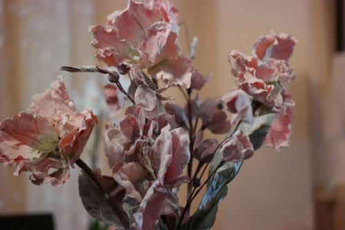 post-33283-0-49754000-1445933428_thumb.j