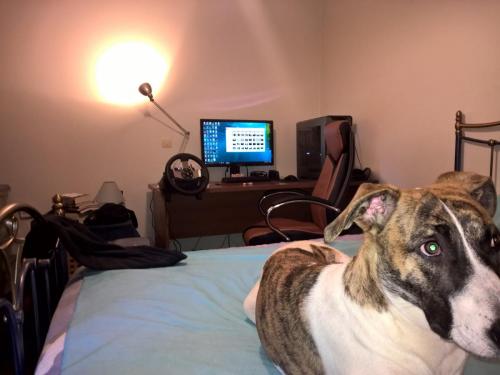 post-30895-0-18396800-1446377294_thumb.j