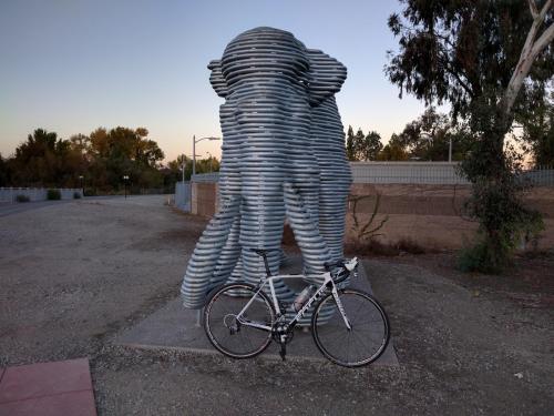 post-33166-0-37598700-1446946411_thumb.j