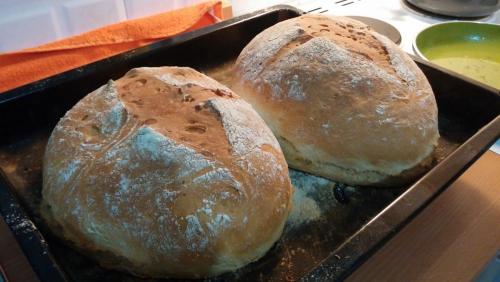 post-66286-0-99437100-1448479187_thumb.j