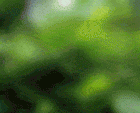 post-23-1416071404,0425_thumb.gif