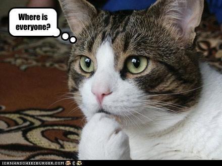 post-38842-0-11648700-1419757723_thumb.j