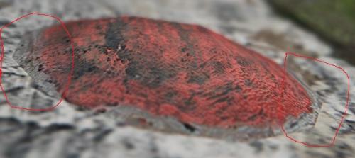 post-44171-0-12049100-1449306512_thumb.j