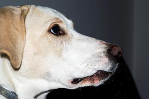 post-60900-0-19763100-1449958937_thumb.j