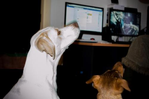 post-60900-0-37889500-1449946702_thumb.j