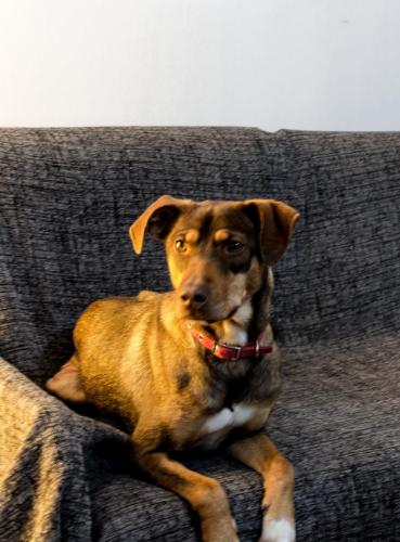 post-60900-0-59297800-1449959360_thumb.j