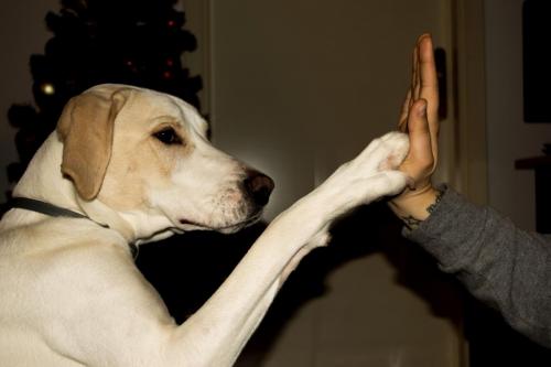 post-60900-0-71715000-1449958948_thumb.j