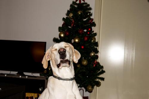 post-60900-0-76657000-1449958957_thumb.j