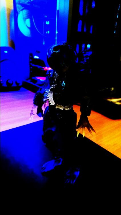 DSC_0262.thumb.JPG.4fc82a81ce8b05ed5b656