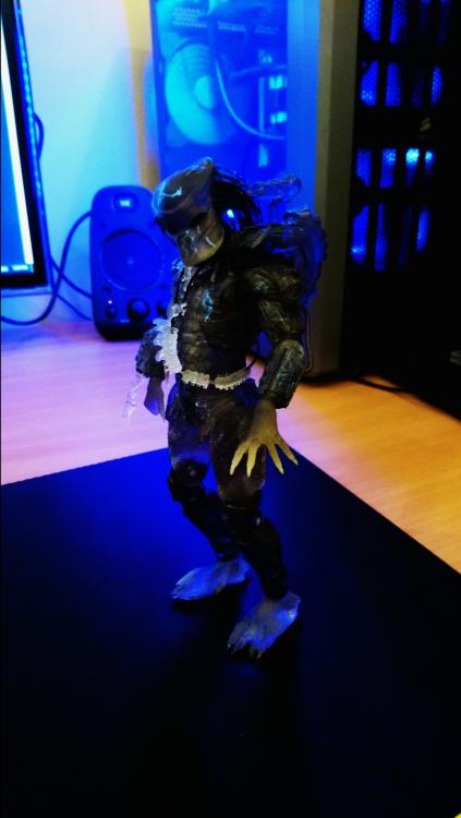 DSC_0263.thumb.JPG.19772654fc2ae5f478a55