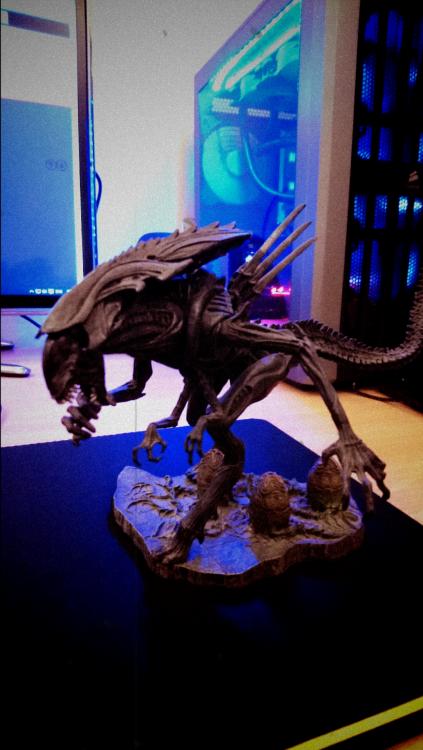 DSC_0264.thumb.JPG.2d21df91c9fc126284180