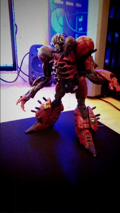 DSC_0267.thumb.JPG.8e1d72058df249c62035e