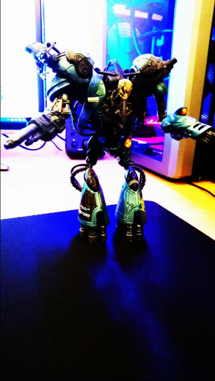 DSC_0269.thumb.JPG.7f1345a160f112a2889fa