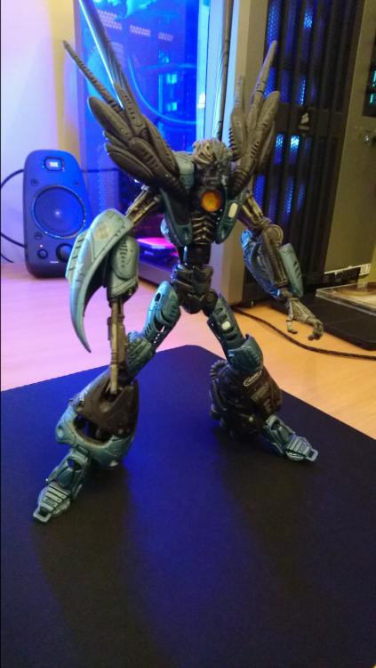 DSC_0272.thumb.JPG.d52cb55253f055f8e3ec9