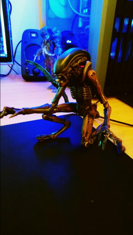 DSC_0275.thumb.JPG.87c3b0911094c95c2cfc2