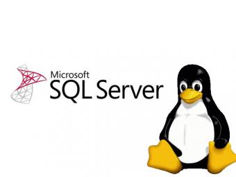 56e05cc4d2832-sql-server-linux2.jpg