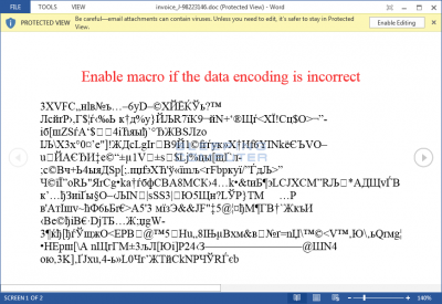 2. Locky.Malicious Word Document.png